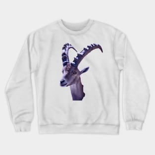 Capricorn Crewneck Sweatshirt